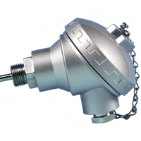 Mineral Insulated Thermocouple with Standard Head and Process Connection